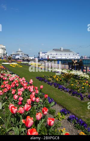 Blick auf die Promenade Gardens zum Eastbourne Pier in Spring, Eastbourne, East Sussex, England, Großbritannien Stockfoto