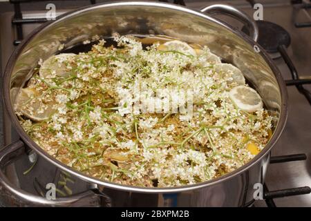 Holunderblüten Kochen mit Zitronen und Zucker, um Holunderblüten herzlich zu machen Stockfoto