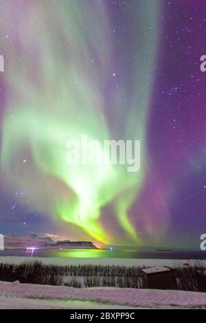 Wunderschöne Aurora Borealis oder besser bekannt als Nordlichter Blick in Island im Winter Stockfoto