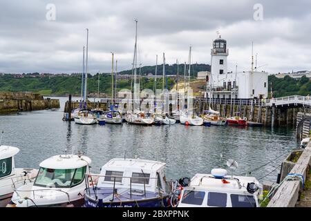 Yachten und Schnellboote, die in der Marina mit einem weißen Leuchtturm im Hintergrund, Scarborough, North Yorkshire, England, Großbritannien, festgemacht sind. Stockfoto