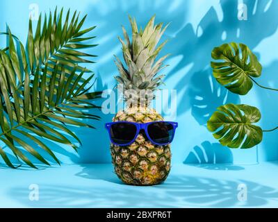 Kühle Hipster Ananas in Sonnenbrille zwischen Palmen und Monstera Blätter auf blauem Hintergrund. Starke tropische Schatten. Hawaii Urlaub im Paradies, Sommer Stockfoto