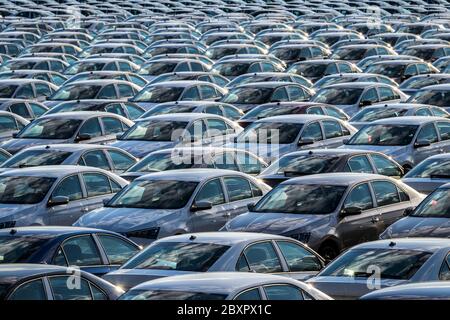 Reihen von Neuwagen, die an einem sonnigen Tag in einem Verteilzentrum auf einer Autofabrik geparkt werden. Parken im Freien. Stockfoto