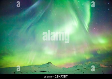 Schöne Aurora Borealis oder besser bekannt als die Nordlichter für die Hintergrundansicht in Island, Snaefellsnesvegur im Winter Stockfoto