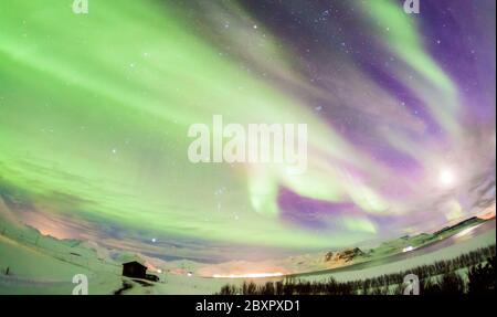 Schöne Aurora Borealis oder besser bekannt als die Nordlichter für die Hintergrundansicht in Island, Snaefellsnesvegur im Winter Stockfoto