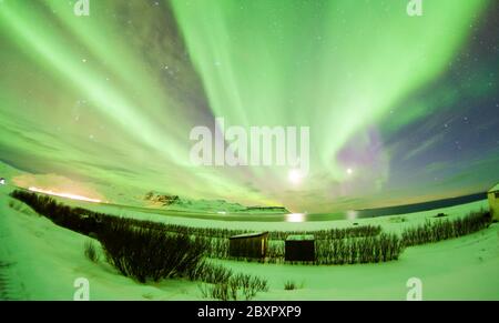 Schöne Aurora Borealis oder besser bekannt als die Nordlichter für die Hintergrundansicht in Island, Snaefellsnesvegur im Winter Stockfoto