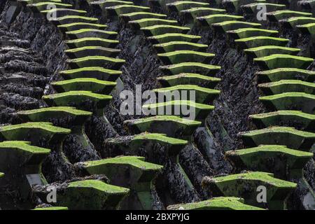 Meeresverteidigung am Cobbold's Point, Felixstowe Stockfoto