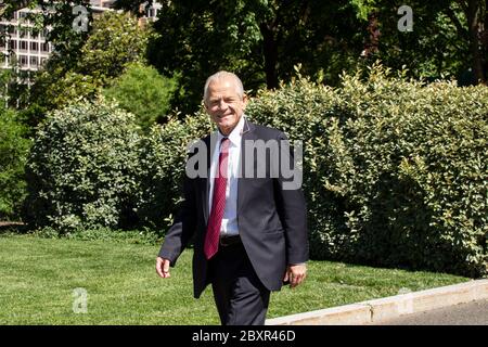 Washington, DC, USA. Juni 2020. Peter Navarro, Direktor für Handel und Industriepolitik und Direktor des Nationalen Handelsrats des Weißen Hauses, verlässt am Montag, den 8. Juni 2020, ein Fernsehinterview im Weißen Haus in Washington, DC, USA. Kredit: Stefani Reynolds/CNP Nutzung weltweit Kredit: dpa/Alamy Live News Stockfoto