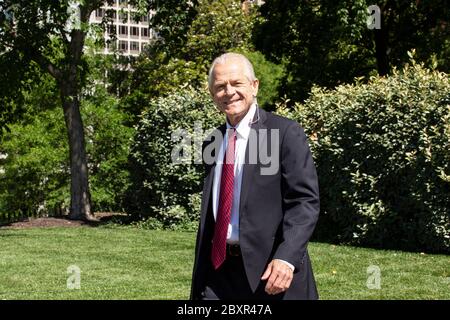 Washington, DC, USA. Juni 2020. Peter Navarro, Direktor für Handel und Industriepolitik und Direktor des Nationalen Handelsrats des Weißen Hauses, verlässt am Montag, den 8. Juni 2020, ein Fernsehinterview im Weißen Haus in Washington, DC, USA. Kredit: Stefani Reynolds/CNP Nutzung weltweit Kredit: dpa/Alamy Live News Stockfoto