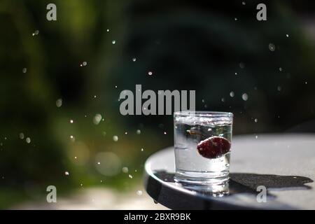 Rote Kirsche fallen in ein Glas Wasser produzieren Wasser Spritzer, frieren in der Zeit Foto, konzeptionell. Stockfoto