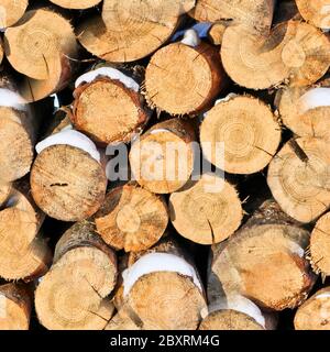 Sägebämme für Brennholz. Ein Protokollstapel. Teilbäume sind Baumringe. Natürlicher Hintergrund, Holzstruktur. Stockfoto