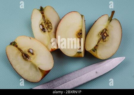 Viertel eines roten Bio-Apfel mit Küchenmesser auf einem hellblauen strukturierten Hintergrund geschnitten Stockfoto