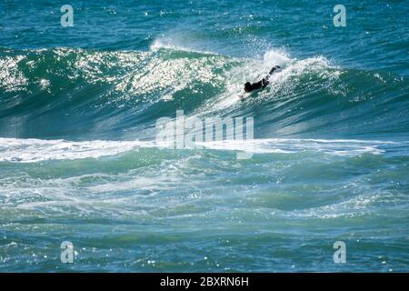 Ein Männchen schwimmt zwischen großen blauen Wellen, während er versucht, auf einem Surfbrett zu stehen. Die Wellen haben ein Spray, das von den Locken kommt. Stockfoto