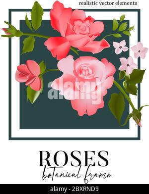 Set Aquarell floralen Elemente - Wildblumen, Kräuter, Rosen, Blätter Sammlung Garten und wild. Rosa Waldkraut, Blumen, Zweige Illustration isolat Stock Vektor