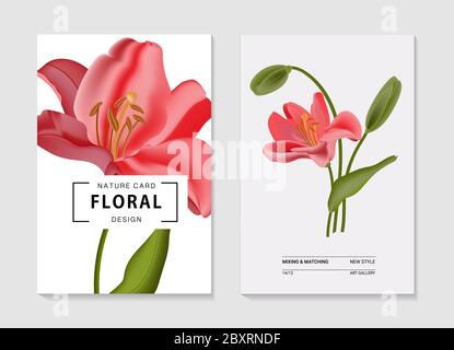 Lily Aquarell realistische Elemente - Garten Wildblumen, florale Kräuter, Blätter rosa Sammlung. Wilder Wald elegante Kräuter, Blumen, Zweige Poster Stock Vektor