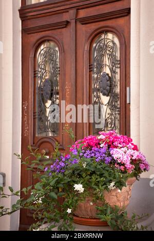 Blumen vor einem Haus im Wilhelminischen Stil in der Arndtstraße im Stadtteil Südstadt, Bonn, Nordrhein-Westfalen. Blumen vor einem Grun Stockfoto