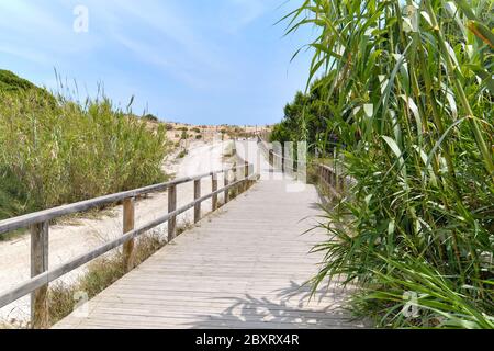 Hölzerne leere Board-Spaziergang durch Sanddünen zum Mittelmeer und Strand von Los Arenales del Sol oder Arenals del Sol. Costa Blanca, Spanien Stockfoto