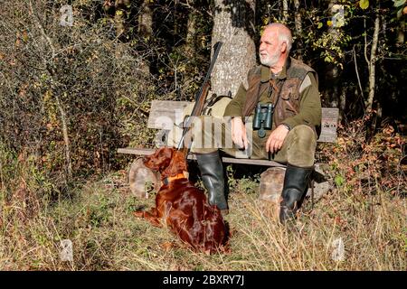 An einem sonnigen Oktobernachmittag sitzt ein alter, erfahrener Jäger mit seinem schönen Irish Setter Jagdhund am Waldrand und blickt hinaus Stockfoto