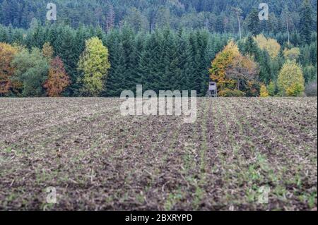 Herbst im Jagdgebiet. Hinter dem breiten, frisch gesät Feld liegt die Jagdpulpit einsam am farbenprächtigen Waldrand. A Stockfoto