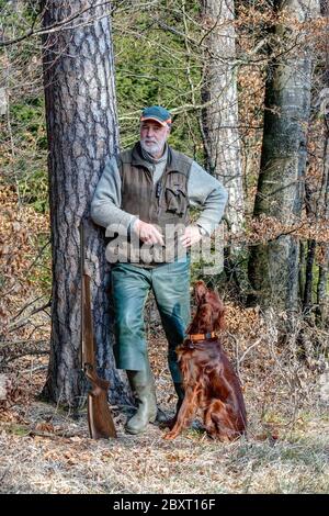 An einem schönen späten Nachmittag im Frühling lehnt sich ein Jäger mit seinem irischen Setter an einen Baum und beobachtet sein Jagdgebiet und genießt die Sonne. Stockfoto