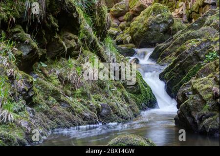 Der wilde Gebirgsbach Ravenna im Schwarzwald fließt über mehrere Wasserfälle und stürzt in die Ravenna Schlucht. Stockfoto