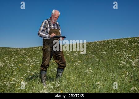 Ein Bauer steht mit einem Tablett auf seiner Bio-Wiese. Mobile Landwirtschaft ist eine effiziente Art, die Anbauflächen zu verwalten. Stockfoto