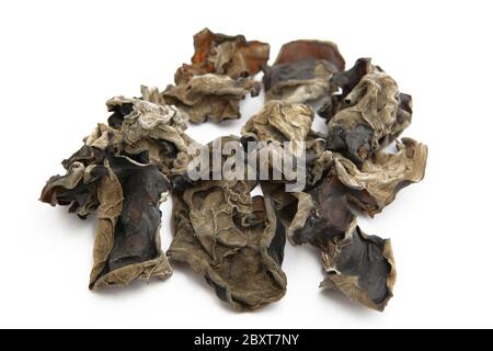 Schwarzer Pilz Stockfoto