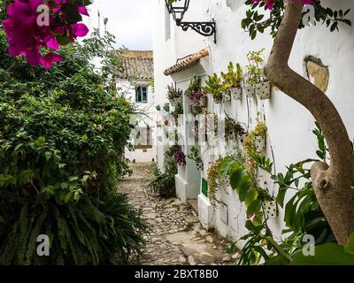 Castellar de la Frontera, typische Straße mit Blumen an den weißen Fassaden. Andalusien, Spanien Stockfoto