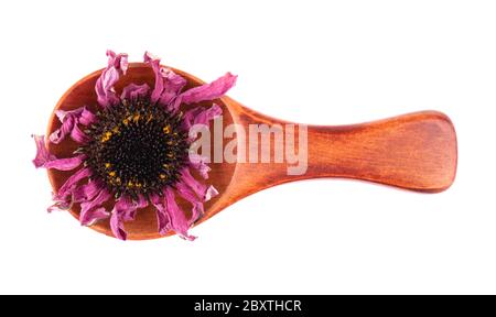 Getrocknete Echinacea Blüten auf Holzlöffel, isoliert auf weißem Hintergrund. Blütenblätter von Echinacea purpurea. Heilkräuter. Draufsicht. Stockfoto