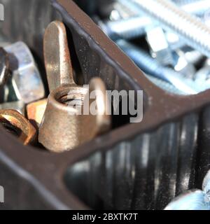 Flügelmutter aus Messing in einer Box Stockfoto