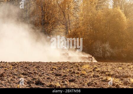 Im Herbst zieht ein Bauer mit einem modernen Traktor Egen und sät ein Feld mit Rüben. Aussaat auf landwirtschaftlichen Flächen während der Bodenbearbeitung. Stockfoto
