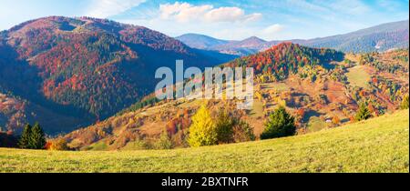 Bergige Landschaft im Herbst. Landschaft mit Wäldern in Herbstfarben und grasbewachsenen Wiesen im Abendlicht. Blauer Himmel mit geschwollenen Wolken. Bunte na Stockfoto