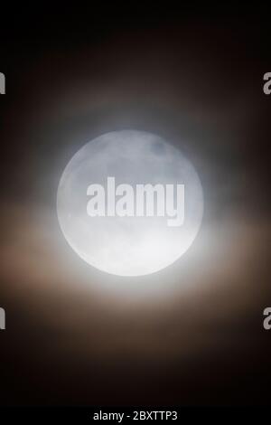 Vollmond mit Erdbeere durch Wolken über den Rocky Mountains, Salida, Colorado, USA Stockfoto