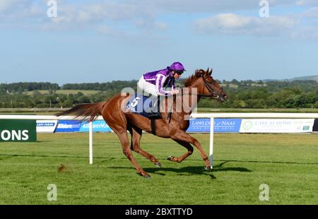 Elfin Queen unter Seamie Heffernan gewinnt die Irish Hengst Farms EBF-Stuten Maiden auf der Naas Racecourse, Co. Kildare, Irland. Stockfoto