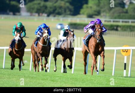 Elfin Queen unter Seamie Heffernan gewinnt die Irish Hengst Farms EBF-Stuten Maiden auf der Naas Racecourse, Co. Kildare, Irland. Stockfoto