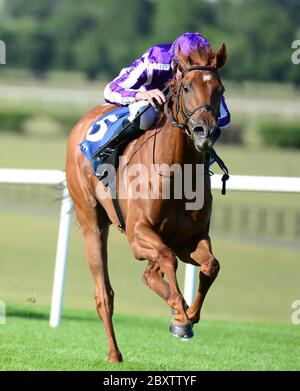 Elfin Queen unter Seamie Heffernan gewinnt die Irish Hengst Farms EBF-Stuten Maiden auf der Naas Racecourse, Co. Kildare, Irland. Stockfoto