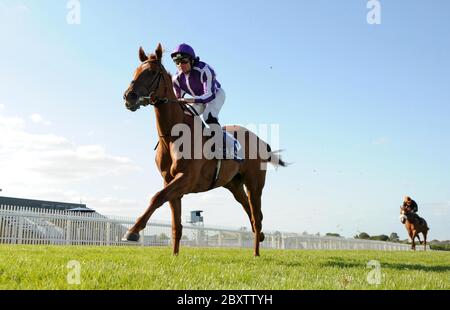 Elfin Queen unter Seamie Heffernan gewinnt die Irish Hengst Farms EBF-Stuten Maiden auf der Naas Racecourse, Co. Kildare, Irland. Stockfoto