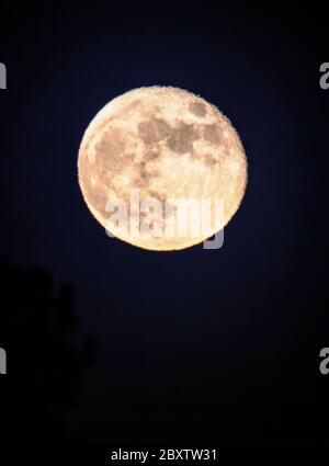 Vollmond der Erdbeere über den Rocky Mountains, Salida, Colorado, USA Stockfoto