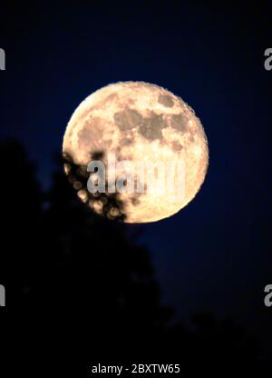 Vollmond der Erdbeere über den Rocky Mountains, Salida, Colorado, USA Stockfoto
