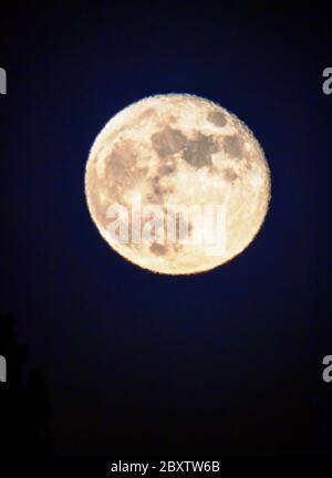 Vollmond der Erdbeere über den Rocky Mountains, Salida, Colorado, USA Stockfoto