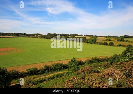 Ein Blick über Ackerland von einer erhöhten Position auf Wiveton Downs in North Norfolk bei Wiveton, Norfolk, England, Großbritannien, Europa. Stockfoto