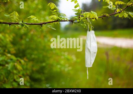 Weggeworfene medizinische Maske auf einem Ast, Umweltverschmutzung während der Quarantäne aufgrund des Ausbruchs covid-19. Stockfoto