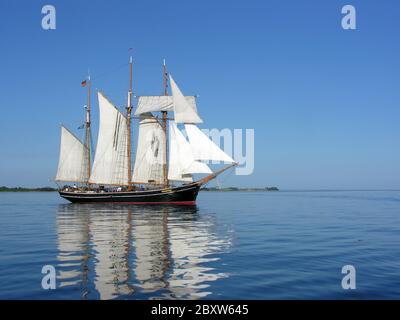 Großsegler Stockfoto