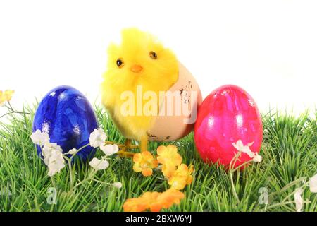 Ostereier und Küken auf einer Wiese Stockfoto