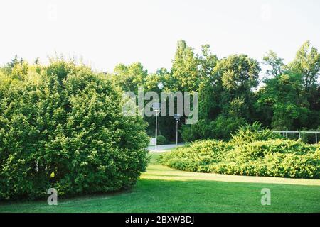 Kompakte Solarpaneele auf Straßenlaternen im grünen grünen Stadtpark, keine Menschen gesetzt. Nachhaltigkeit in der städtischen Umwelt. Stockfoto