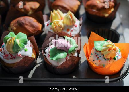 Reihen von schönen bunten kleinen Cupcakes in Papierverpackung mit Streuseln und Sahne Stockfoto
