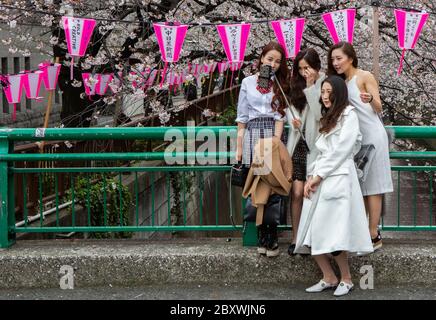 Japanische Mädchen, die Selfie-Bilder am Meguro River während der Kirschblüte, Tokio, Japan. Stockfoto