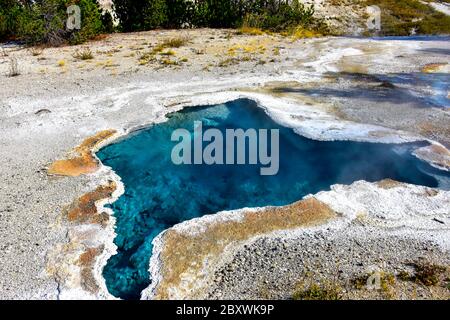 Blue Star Spring, Geyser Hill, Yellowstone National Park. Stockfoto