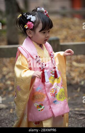 Ein kleines japanisches Mädchen im Kasuga Taisha-Schrein in Kyoto, Japan, gekleidet in einen traditionellen Kimono Stockfoto