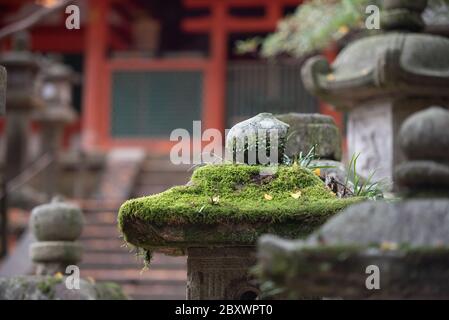 Eine steinerne Laterne in der Nähe der Kasuga Taisha, Weltkulturerbe in Nara, Japan. Stockfoto