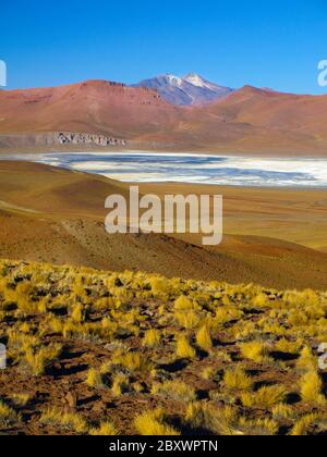 Landschaft der Cordillera de Lipez mit hohen Bergen und Laguna Morejon, Bolivien Stockfoto
